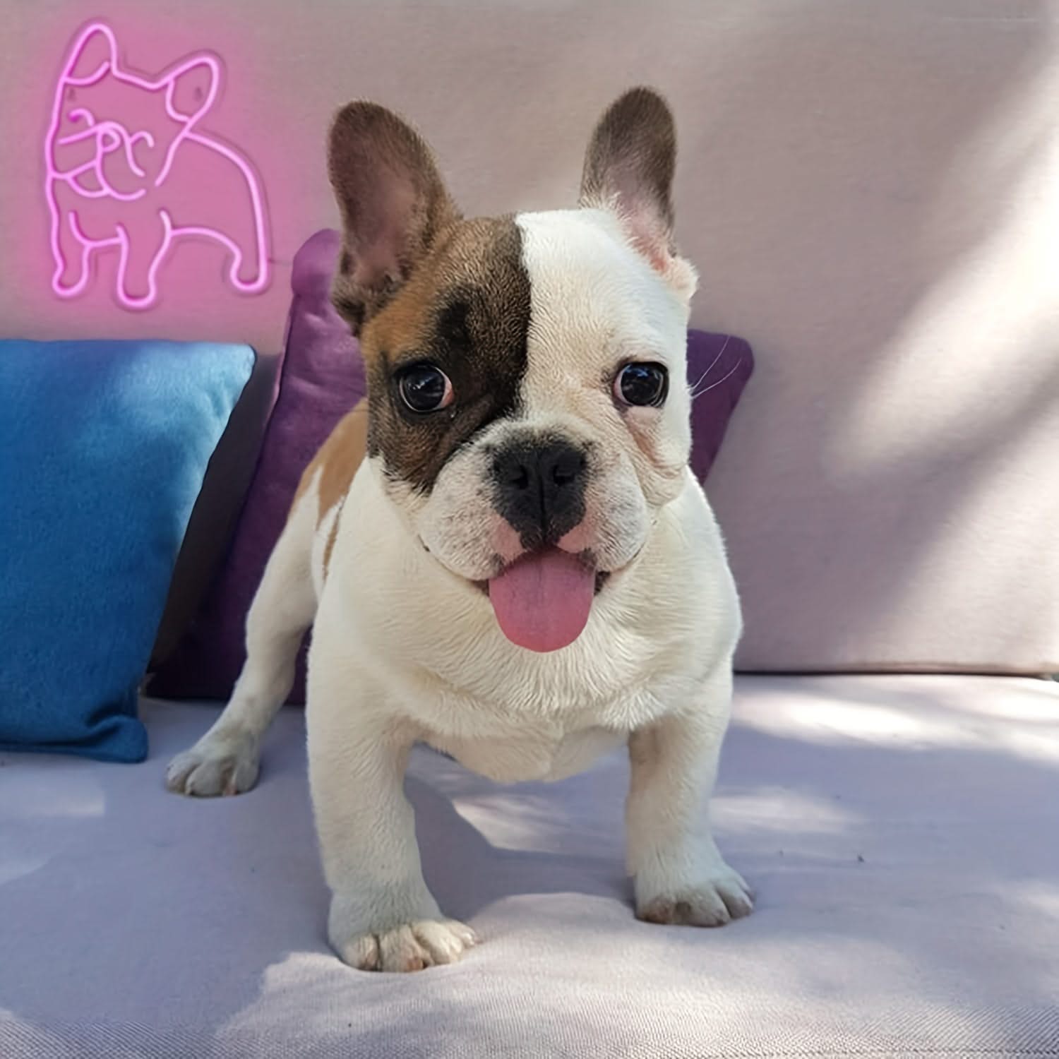 French Bulldog Neon Light – Pink Puppy USB LED Wall Decor Sign