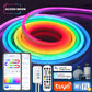 TUYA Neon LED Streifen Lichter RGBIC Dreamcolor mit Musiksynchronisation für Raum